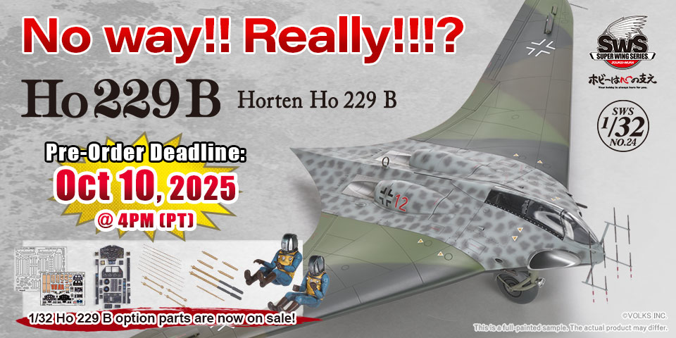 1/32 SWS Horten Ho 229 B