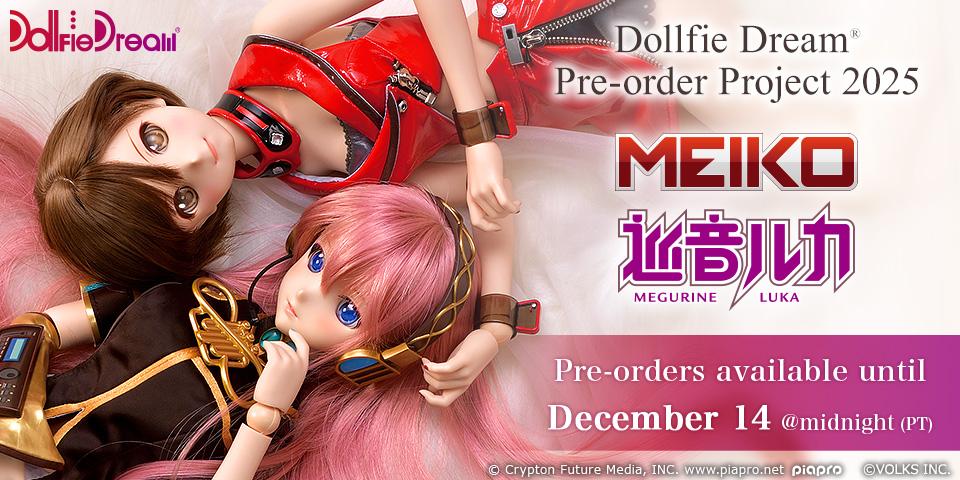 DD Pre-Order Project 2025