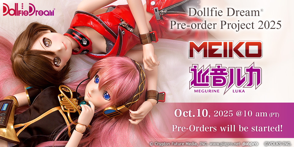 DD Pre-Order Project 2025