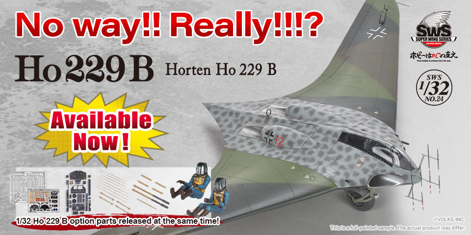 1/32 SWS Horten Ho 229 B