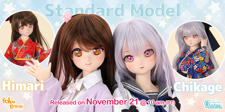 New DD Standard Models