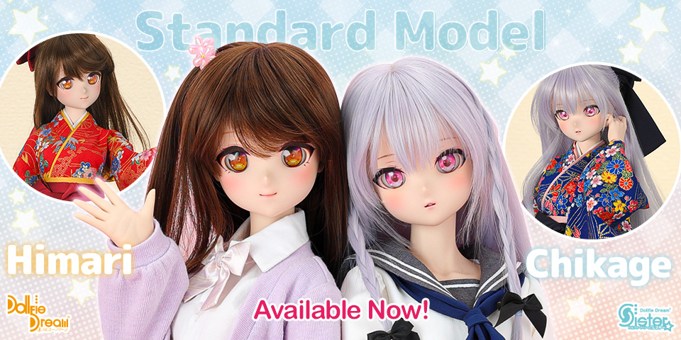 New DD Standard Models