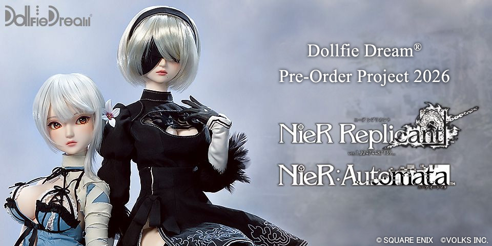 DD Pre-Order Project 2026