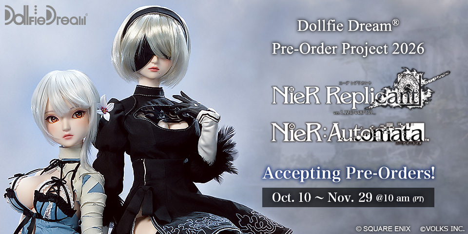 DD Pre-Order Project 2026