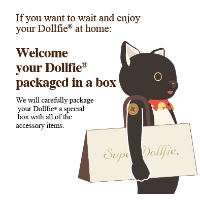 Welcome your Dollfie packaged in a box