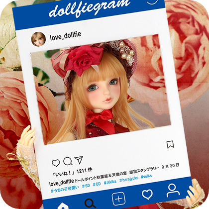 SD Official Instagram