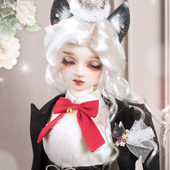 Super Dollfie Auction