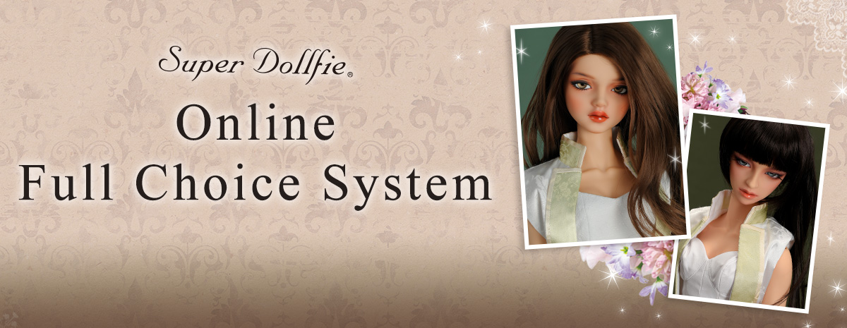 Online FCS | VOLKS USA, INC.